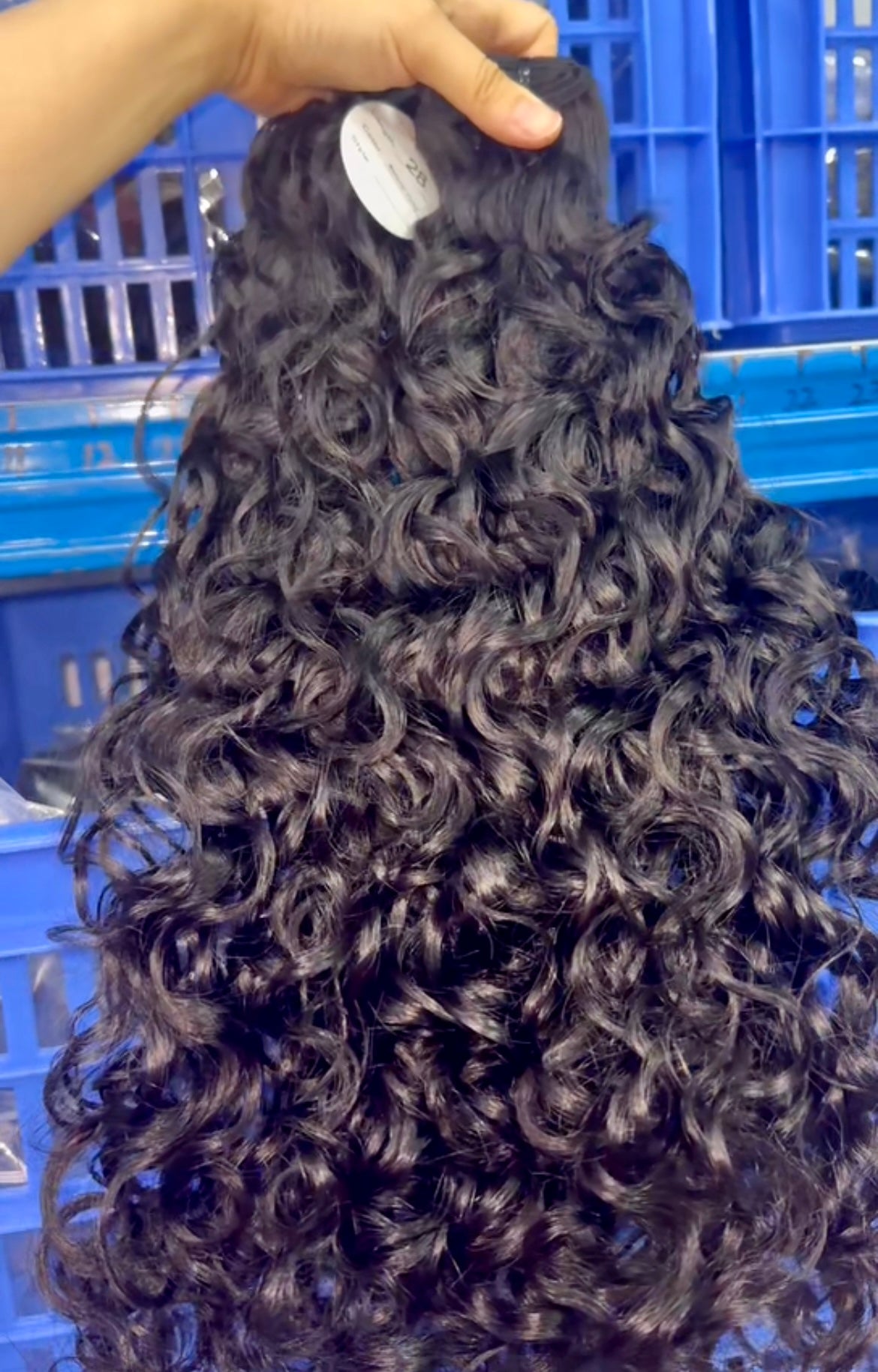 Indonesia Curl/Pixie Curl/Volume Curl